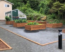 Fisterra Gardens <br />Townhomes -
Community<br />Garden and Greenhouse Fisterra Gardens Townhomes Community Garden and Greenhouse